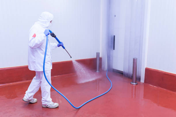 Best Sidewalk and Walkway Cleaning  in Raleigh, NC